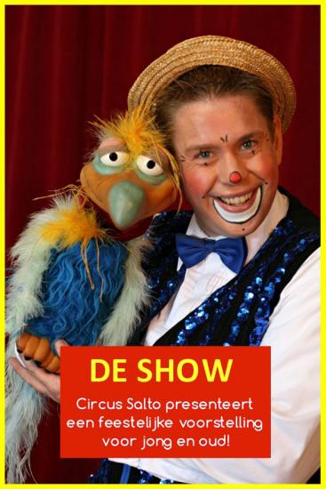 Circus Salto; Dé feestelijke familie voorstelling | Afbeelding behorende bij Circus Salto; Dé feestelijke familie voorstelling