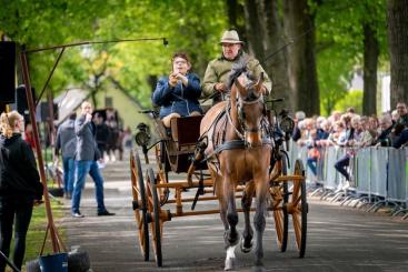 Afbeelding behorende bij Dorpsfeest Velp