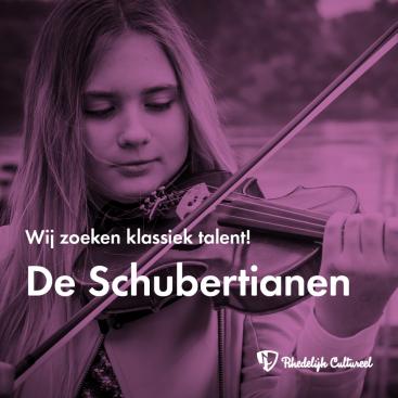 Afbeelding behorende bij De Schubertianen | Wij zoeken klassiek talent!