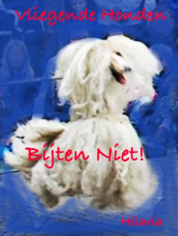 Vliegende honden bijten niet | Door theatergroep Hilaria 4+ Afbeelding behorende bij Vliegende honden bijten niet