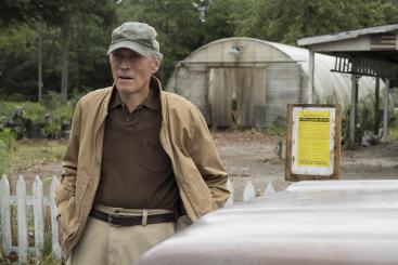 The Mule | Misdaaddrama Afbeelding behorende bij The Mule