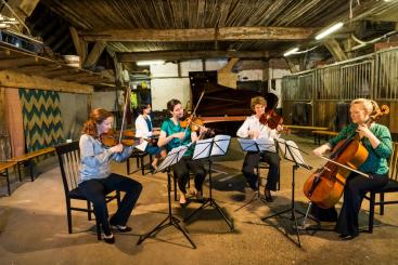 Afbeelding behorende bij ZOOM! Kamermuziekfesival | Jong talent, kaarten en meer... 